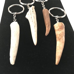 Antler Key Ring, Shed Antlers