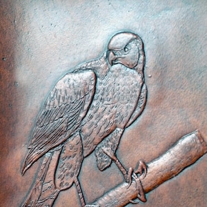 Cooper's Hawk A5 Diário de couro feito à mão Diário de observador de pássaros