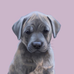 Retrato de mascota personalizado - impresión de póster