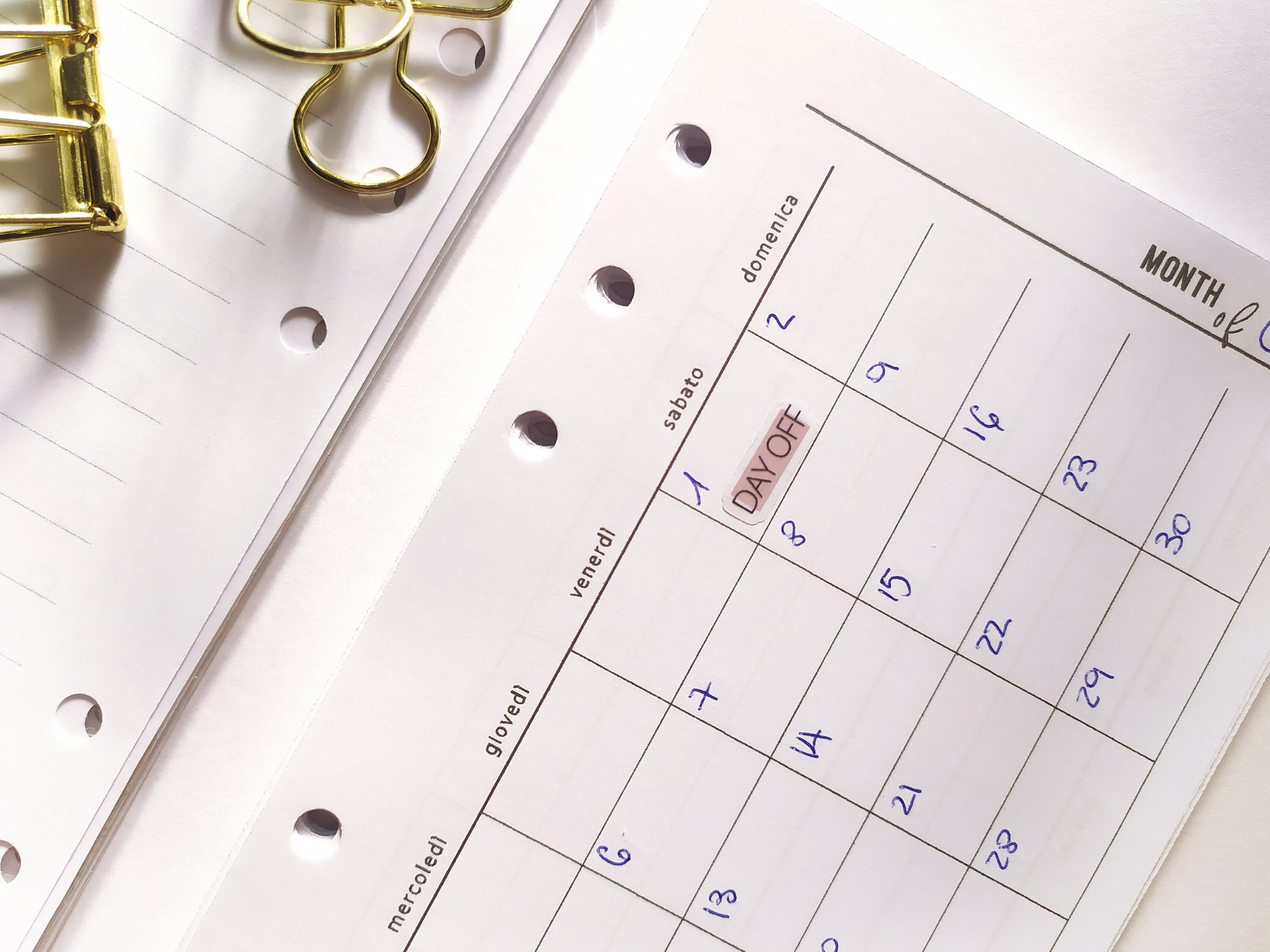 Day Off Color Transparent Day off Stickers, Clear Minimal Planner Stickers, Mini ...