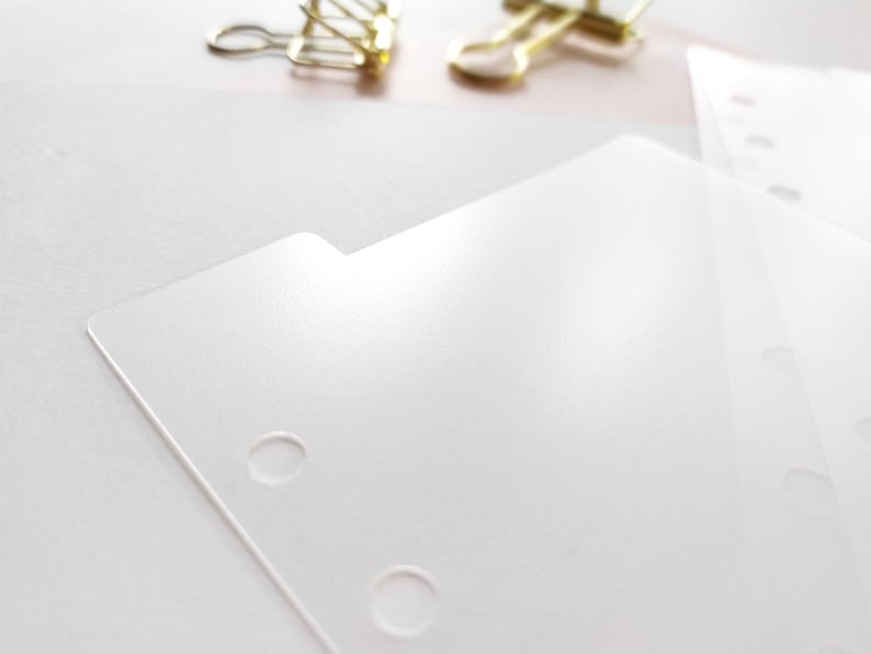 May include: A set of translucent, frosted plastic planner dividers with a tabbed edge and pre-punched circular holes along the side. The dividers have a smooth, matte finish and are designed for use in a ring-bound organizer system.