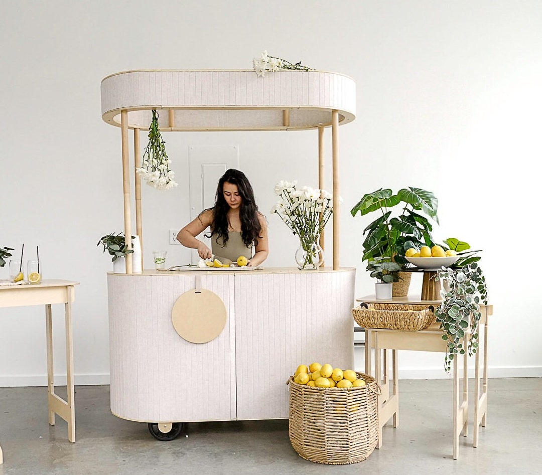 Mobile Cart, Pop up Bar Cart, Modern Food Beverage Cart, Mall Kiosk, Vendor Collapsible Beverage