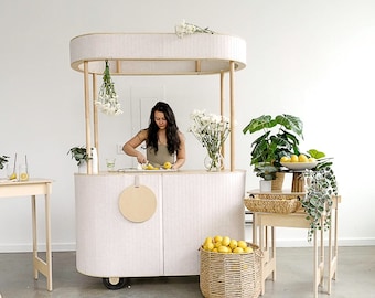 Mobile Cart, Pop Up Bar Cart, Modern food + beverage Cart, Mall Kiosk, Vendor Collapsible Beverage Snack Popcorn Champagne bar