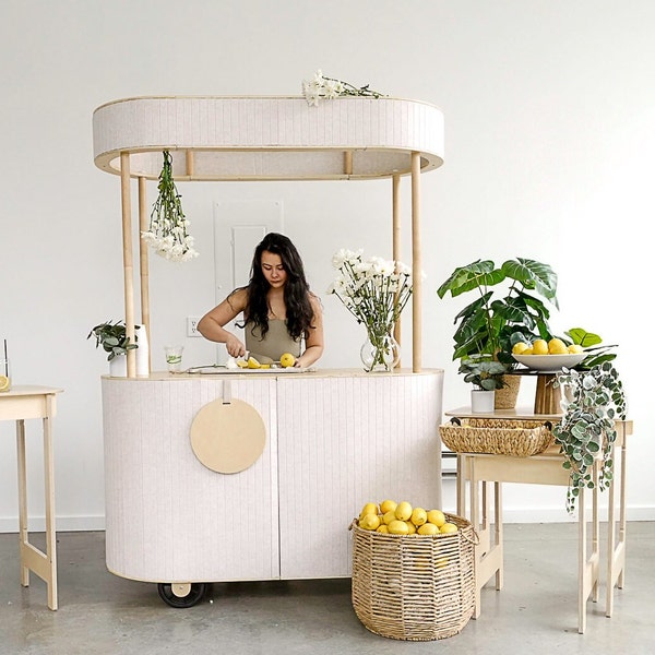 Mobile Cart, Pop Up Bar Cart, Modern food + beverage Cart, Mall Kiosk, Vendor Collapsible Beverage Snack Popcorn Champagne bar