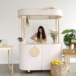 Chariot mobile, chariot de bar escamotable, chariot moderne pour aliments et boissons, kiosque de centre commercial, snack-bar pliable pour boissons et maïs soufflé, chariot de vendeur