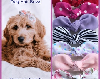 female dog bows