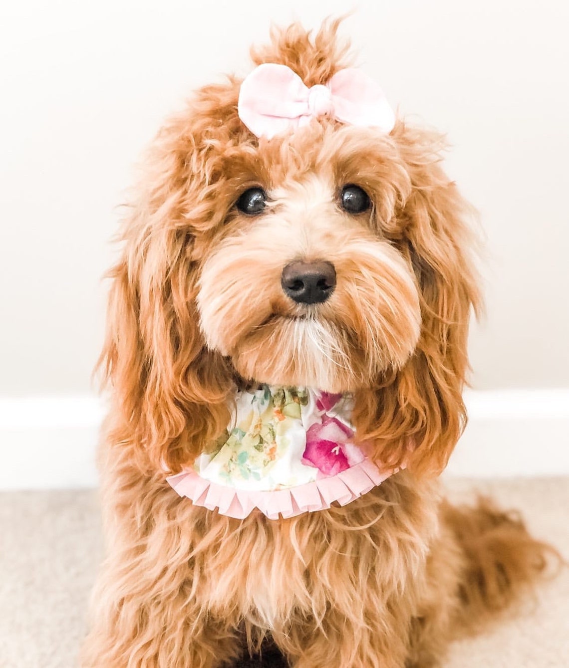 Dog Ruffle Collar Yellow and Pink Floral Dog Scrunchie Dog - Etsy