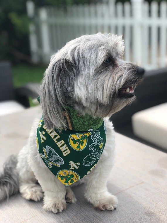oakland athletics dog jersey