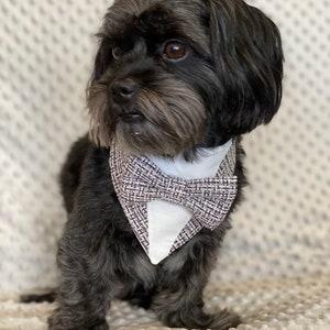 Halloween dog tuxedo bandana, Dog bandana, Snap on Bandana, spooky tuxedo, bandana with bowtie, image 3