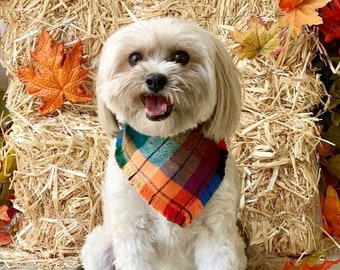 May include: A small, white dog with a fluffy coat is wearing a plaid bandana with orange, red, blue, and green colors. The dog is sitting in front of a bale of hay with fall leaves.
