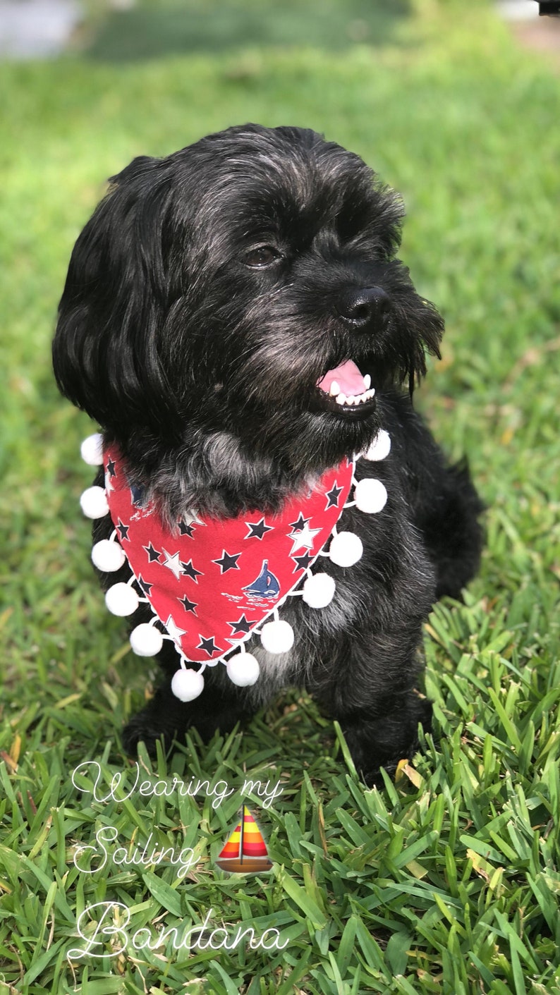 mardi gras dog bandana