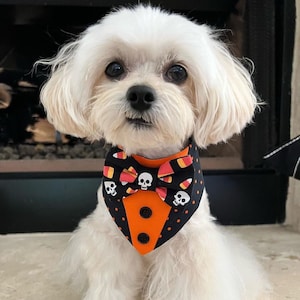 Halloween dog tuxedo bandana, Dog bandana, Snap on Bandana, spooky tuxedo, bandana with bowtie, image 2