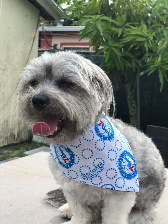 sixers dog jersey