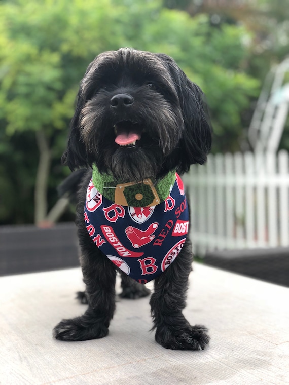 red sox dog jersey