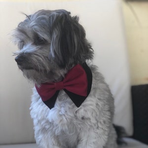 New Dog Bowtie collar tuxedo, Dog Accesorias, Puppy Bow, Pet Scarf, dog formal collar, wedding dog attire, valentines collar image 3