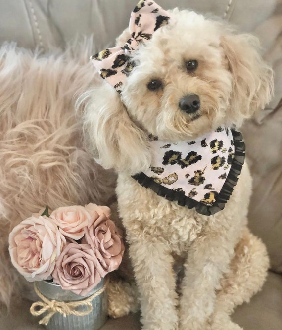 New Gold Leopard With Pink Dog Bandana Matching Hair bow Bow and Bandana Cute Bandanas Bandana With Ruffle Etsy Canada