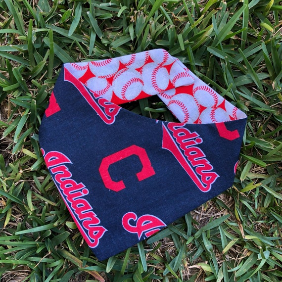 cleveland indians dog jersey
