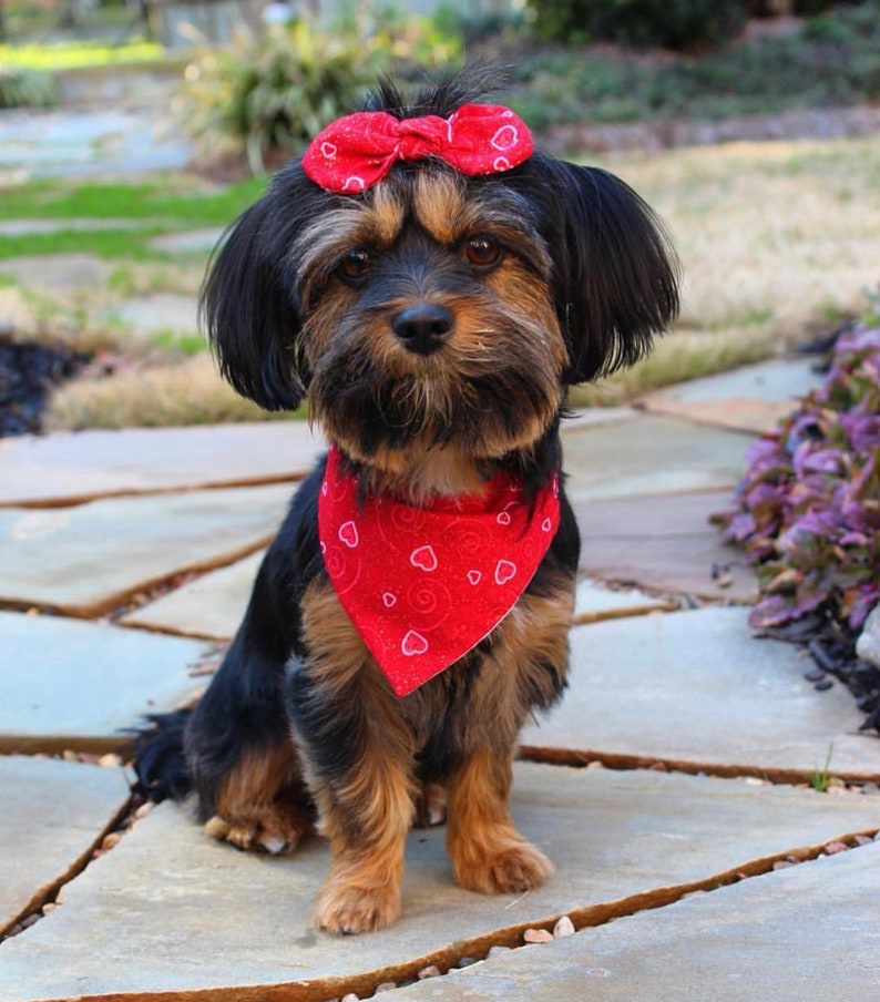 Valentines Dog Hair Bow Girl Dog Bow Hair Clip for Dogs Etsy