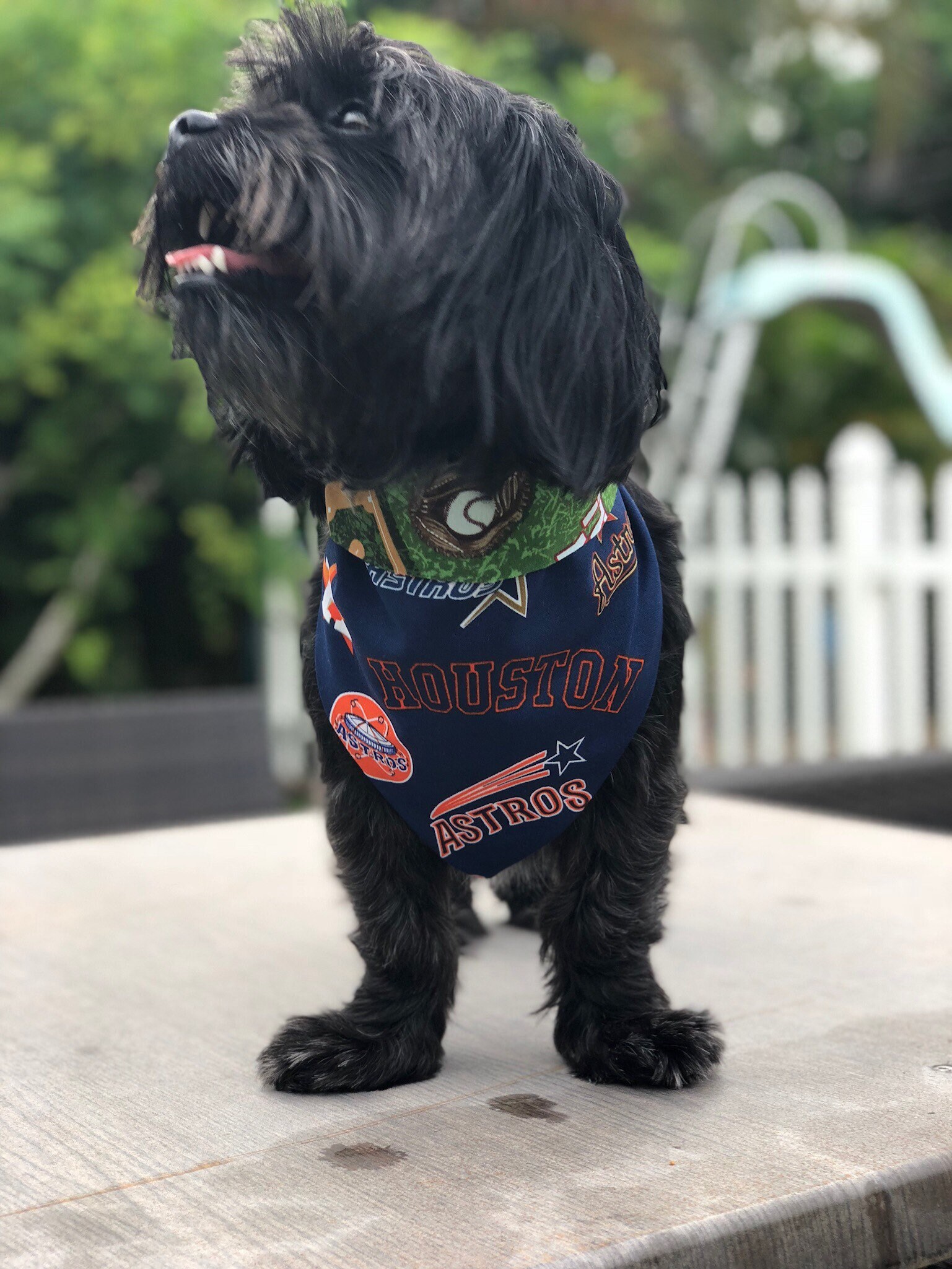 Houston Astros Dog Bandana, houston astros bandana, Houston dog bandana,  houston bandana, Astros Dog bandana, Astros bandana, MLB baseball