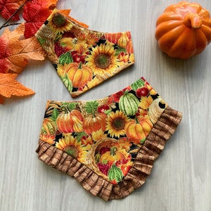 Fall Dog bandana, Pumpkin patch basket, Snap on Bandana, Matching hair-bow, Bow and Bandana, Autumn scarf for dogs, Curved neckline