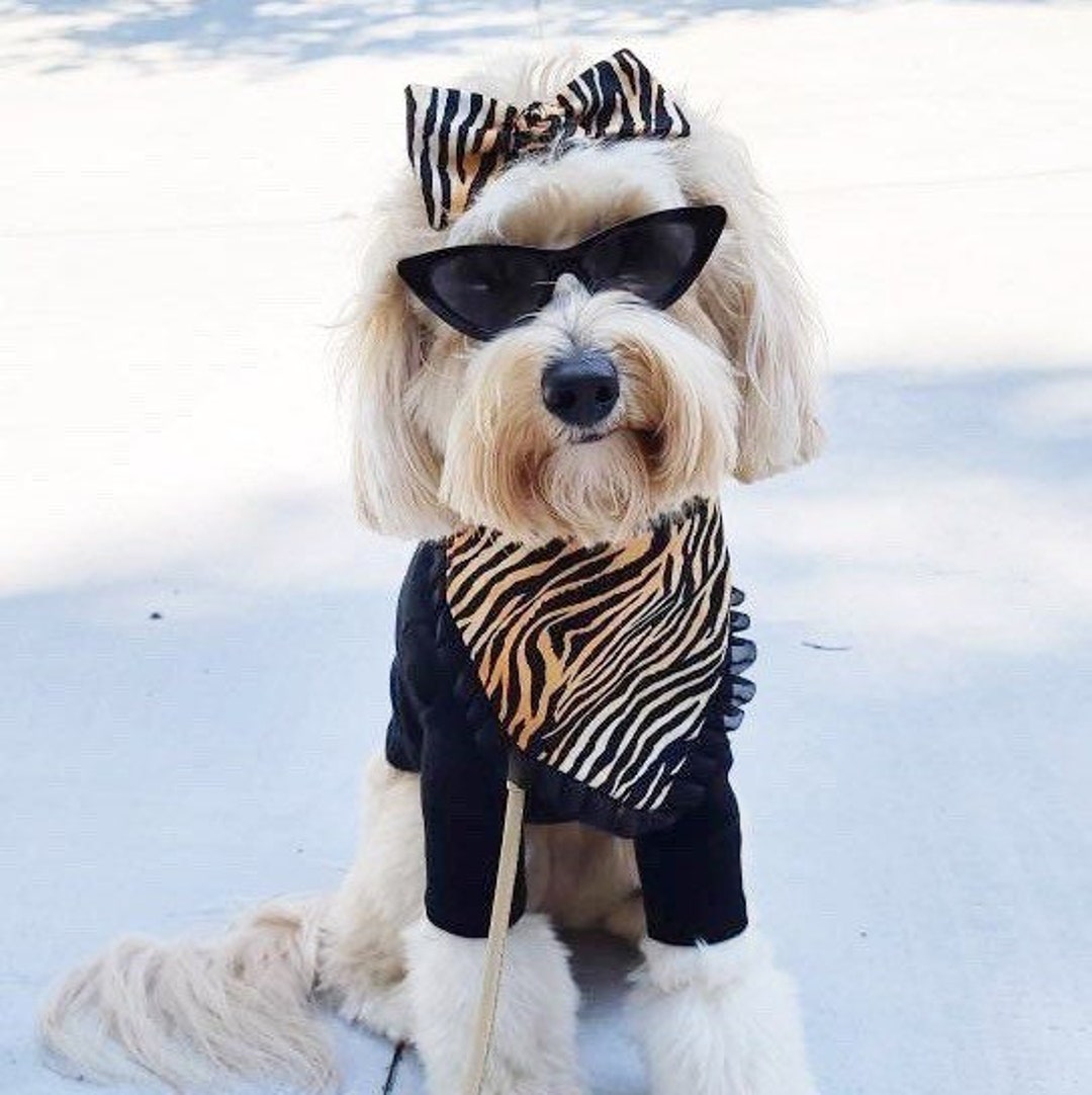 New Tiger and Cheetah Dog Bandana Matching Hair-bow Bow and