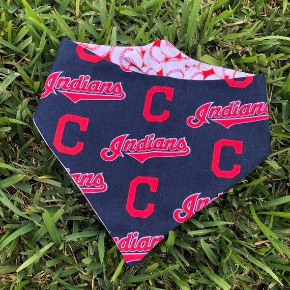 cleveland indians dog jersey