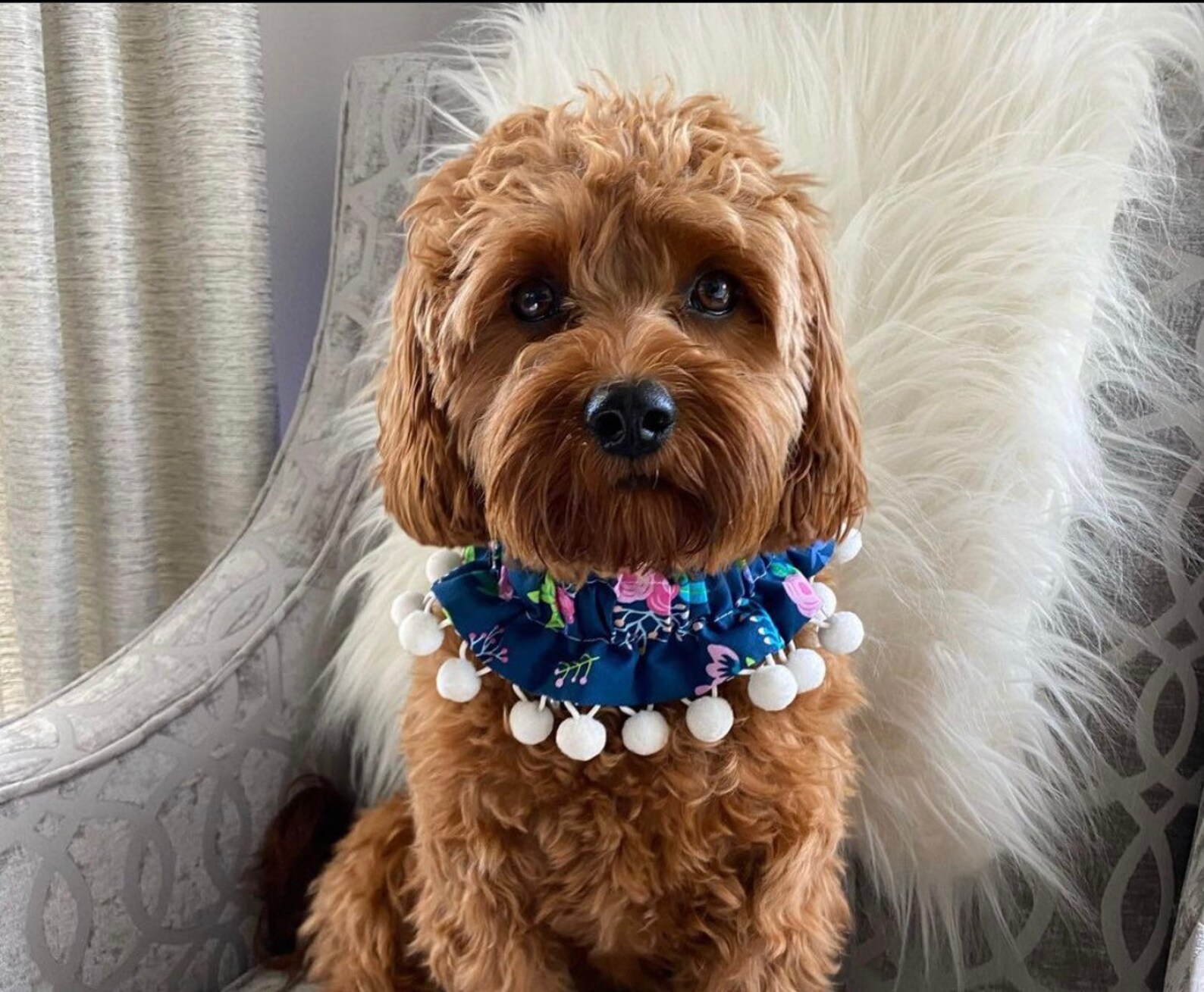 Blue Floral Spring Dog Ruffle Collar Dog Scrunchie Dog | Etsy