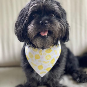 Lemon, Summer Dog bandana, Snap on Bandana, Matching hair-bow, Bow and Bandana, Cute bandanas