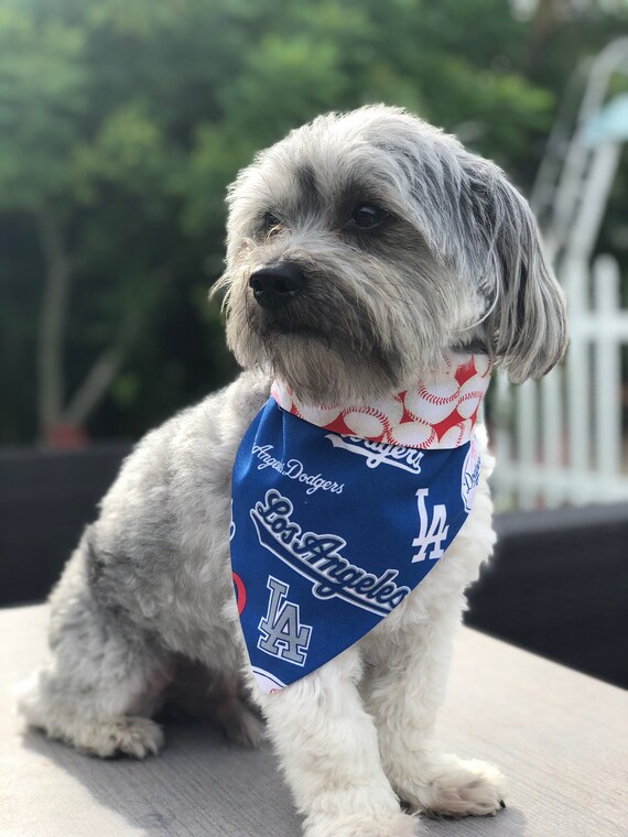 labrador x kelpie puppies for sale