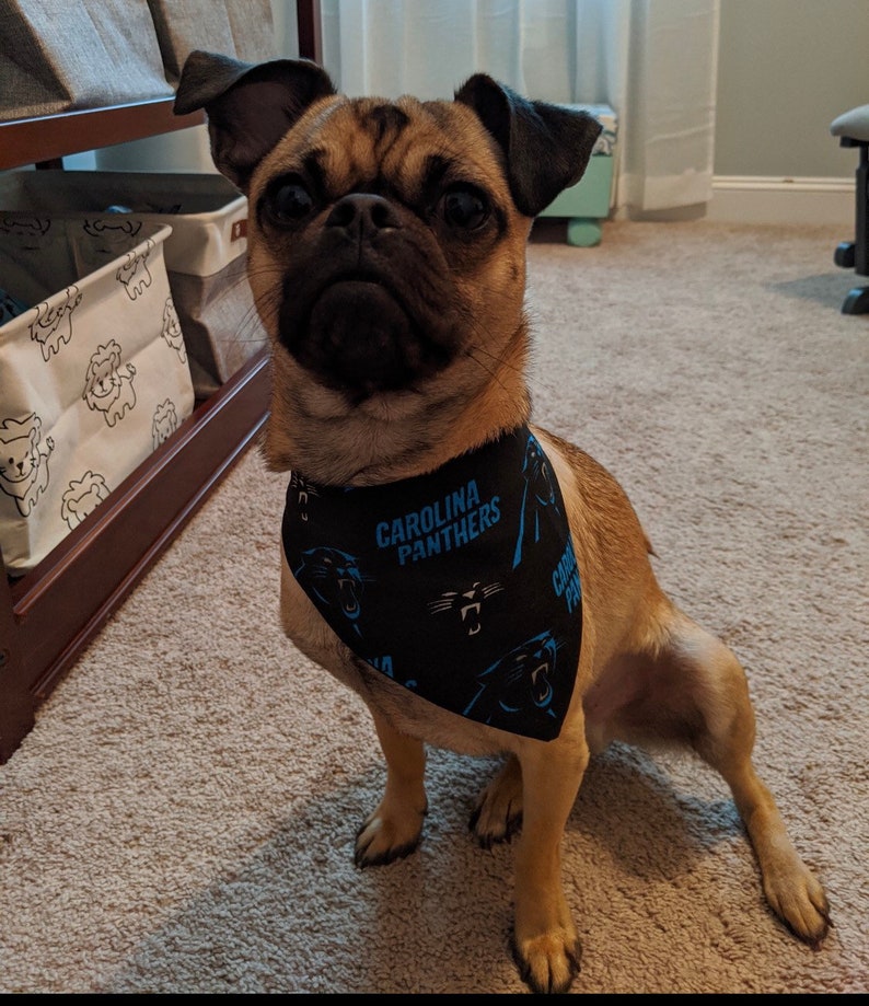 Carolina Panthers Hund Bandana Carolina Hund Bandana Etsy
