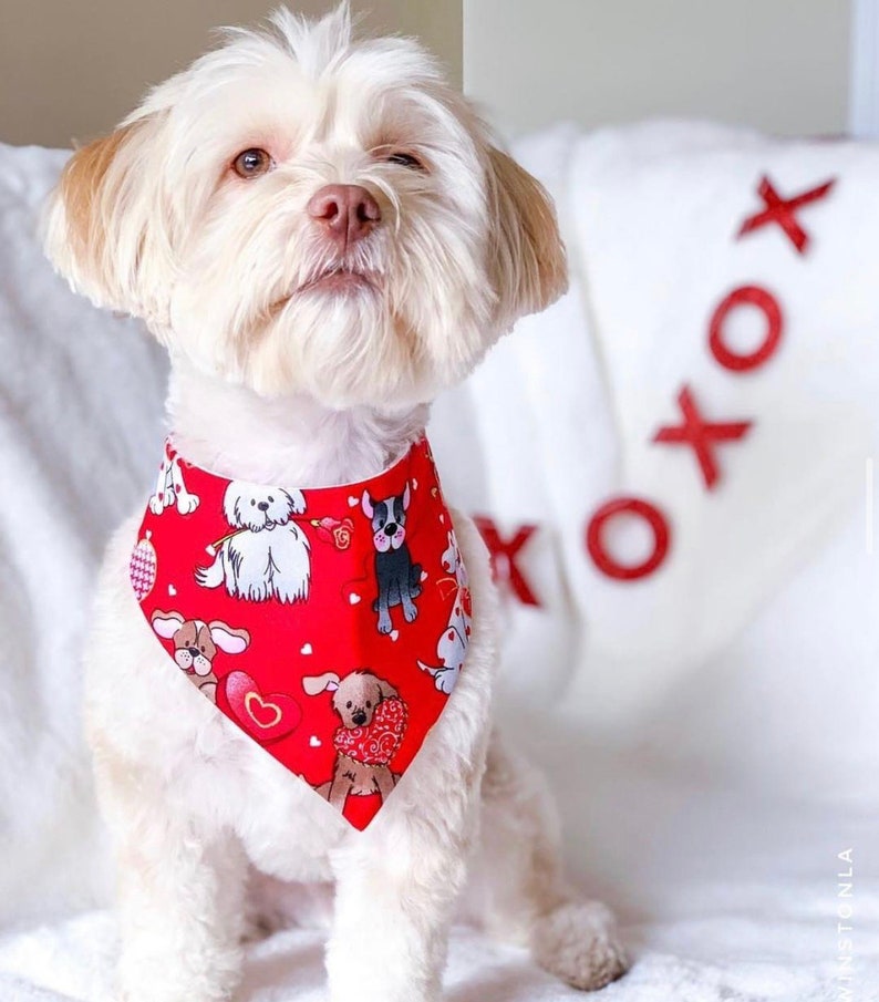 pet accessory easy snap-on dog bandana bandana for dogs New Minnie /& Mickey Easter dog bandana Puppy bandana