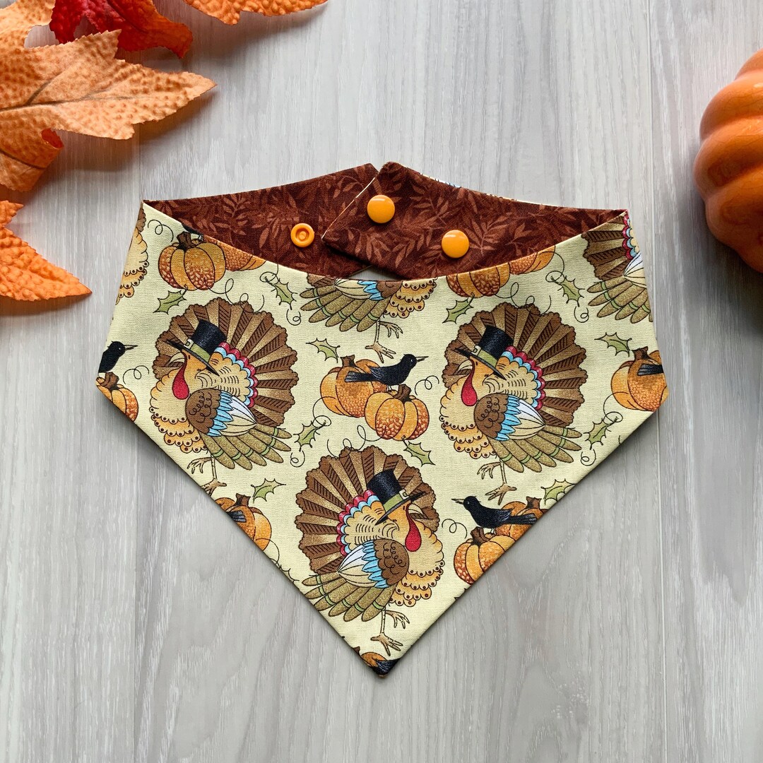 Fall Dog Bandana, Thanksgiving Turkey, Snap on Bandana, Matching Hair