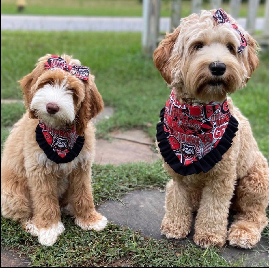 Football Dog Bandana With Ruffles Snap on Bandana Matching - Etsy