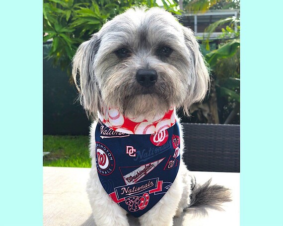 nationals dog jersey