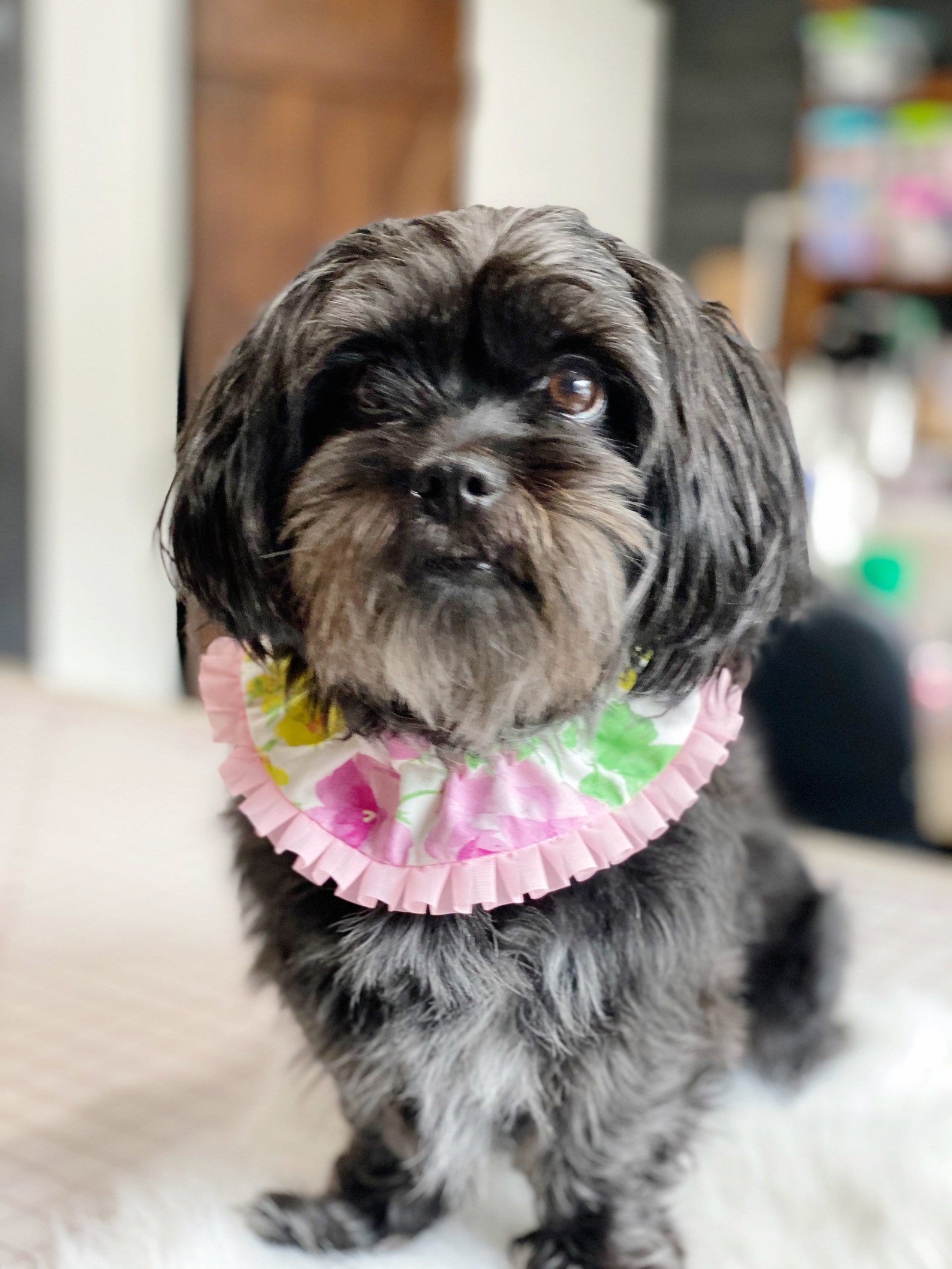 Dog Ruffle Collar Yellow and Pink Floral Dog Scrunchie Dog Etsy