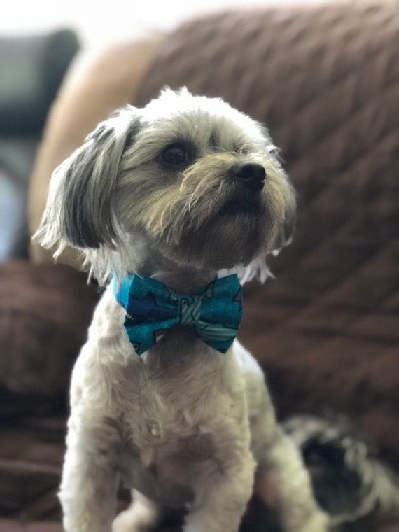 Blue dog cheap bow tie