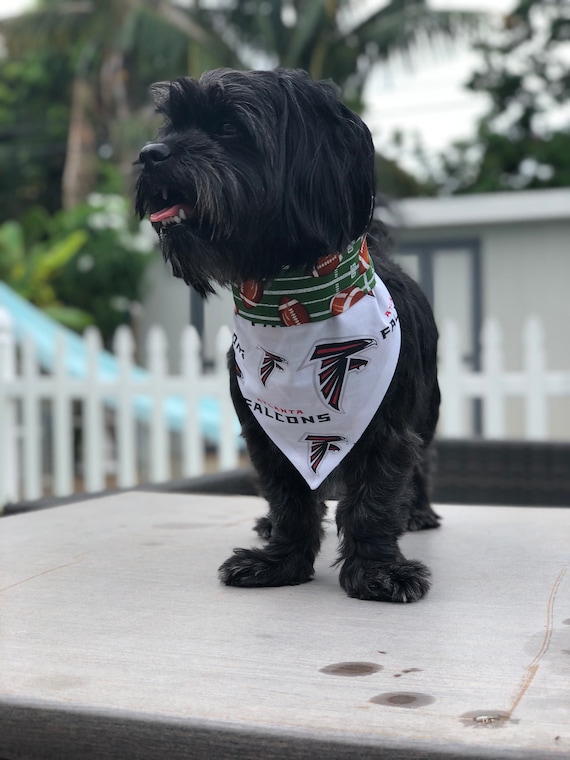 falcons dog jersey