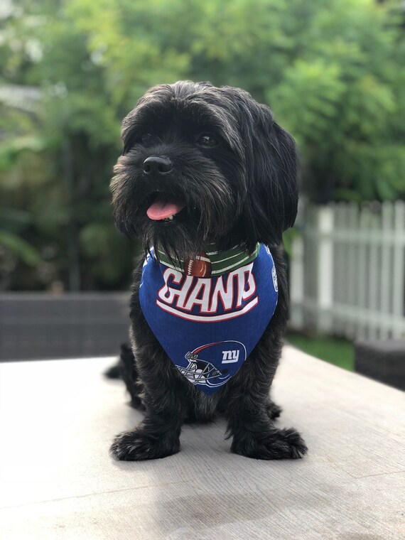 ny giants dog sweater