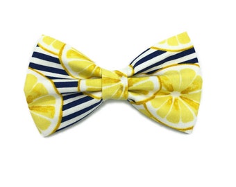 Neu! Limonade Hunde fliege, Haustier Accessoires, Fliege, Frühling Hunde Accessoires, Hundehalsband, Haustier Fliege
