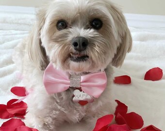Op de afbeelding: Een kleine witte hond met een roze strik en een hartvormig label met de tekst "HAPPY" is omringd door rode rozenblaadjes.