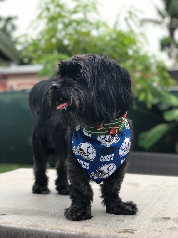 bearded dragon worm food