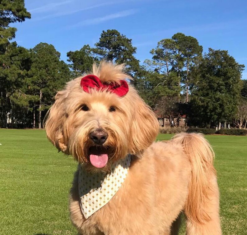 pet accessory easy snap-on dog bandana bandana for dogs New Minnie /& Mickey Easter dog bandana Puppy bandana