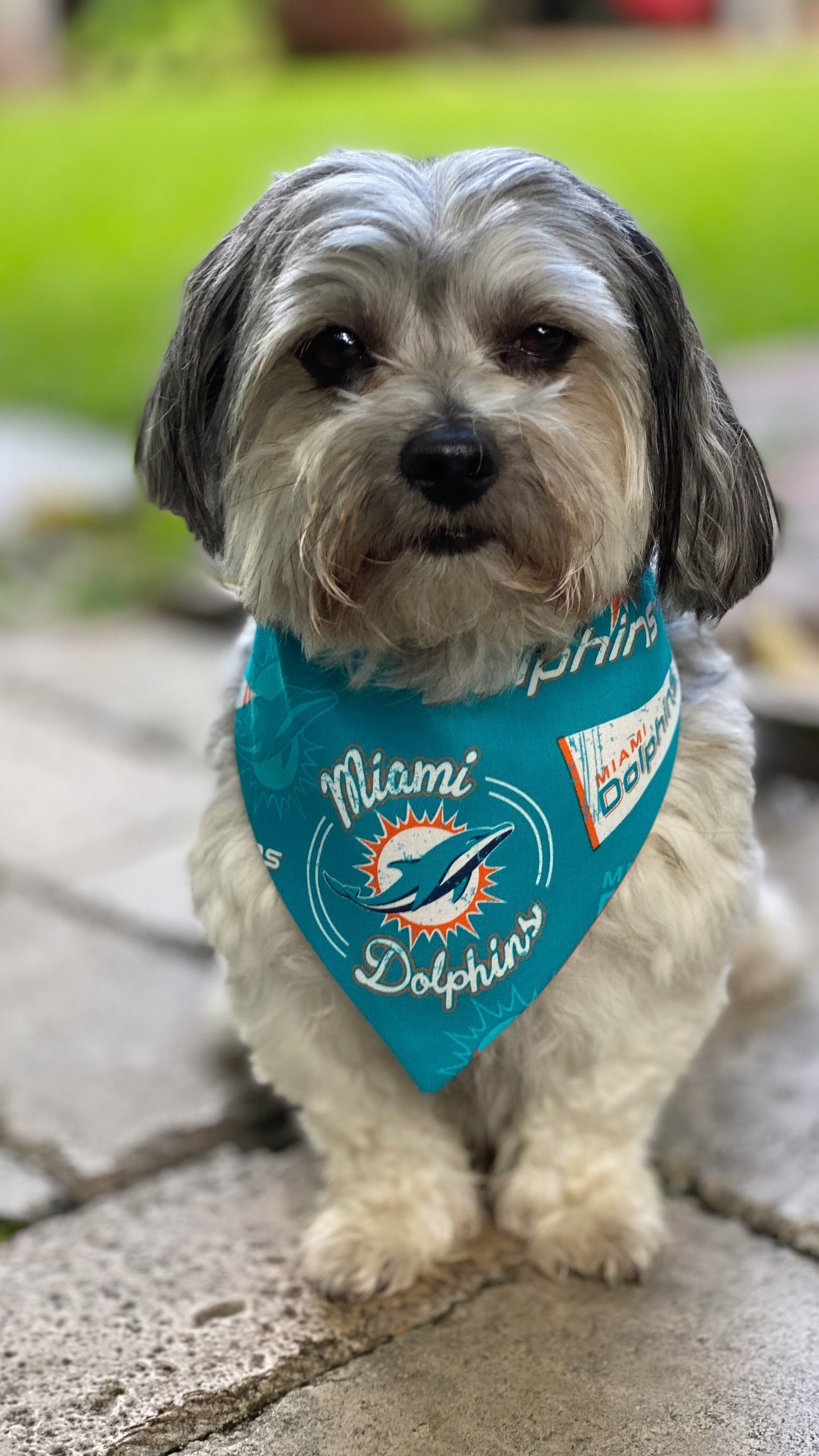Footbal NFL reversible Dog Bandana, pet accessories, over the collar pet bandana, pick your team bandana