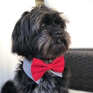 New Dog Bowtie collar tuxedo, Dog Accesorias, Puppy Bow, Pet Scarf, dog formal collar, wedding dog attire, valentines collar image 1