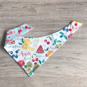 Fresh Fruits and Crabs Dog Bandana, Pet Scarf, snaps on, tie on, Season bandana, spring bandana, pom pom bandana, pet bandana
