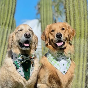 Tuxedo dog bandana, St Patrick’s Day bandana with bowtie, Dog bandana with Snaps, Pet scarf gift, Lucky dog scarf, Dog Bowtie,