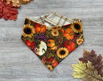 Pumpkin Patch Dog Bandana, Reversible Snap-On Pet Accessory