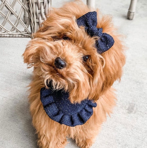 New Gold Velvet With Ruffles Dog Bandana Fancy Bandana Snap 