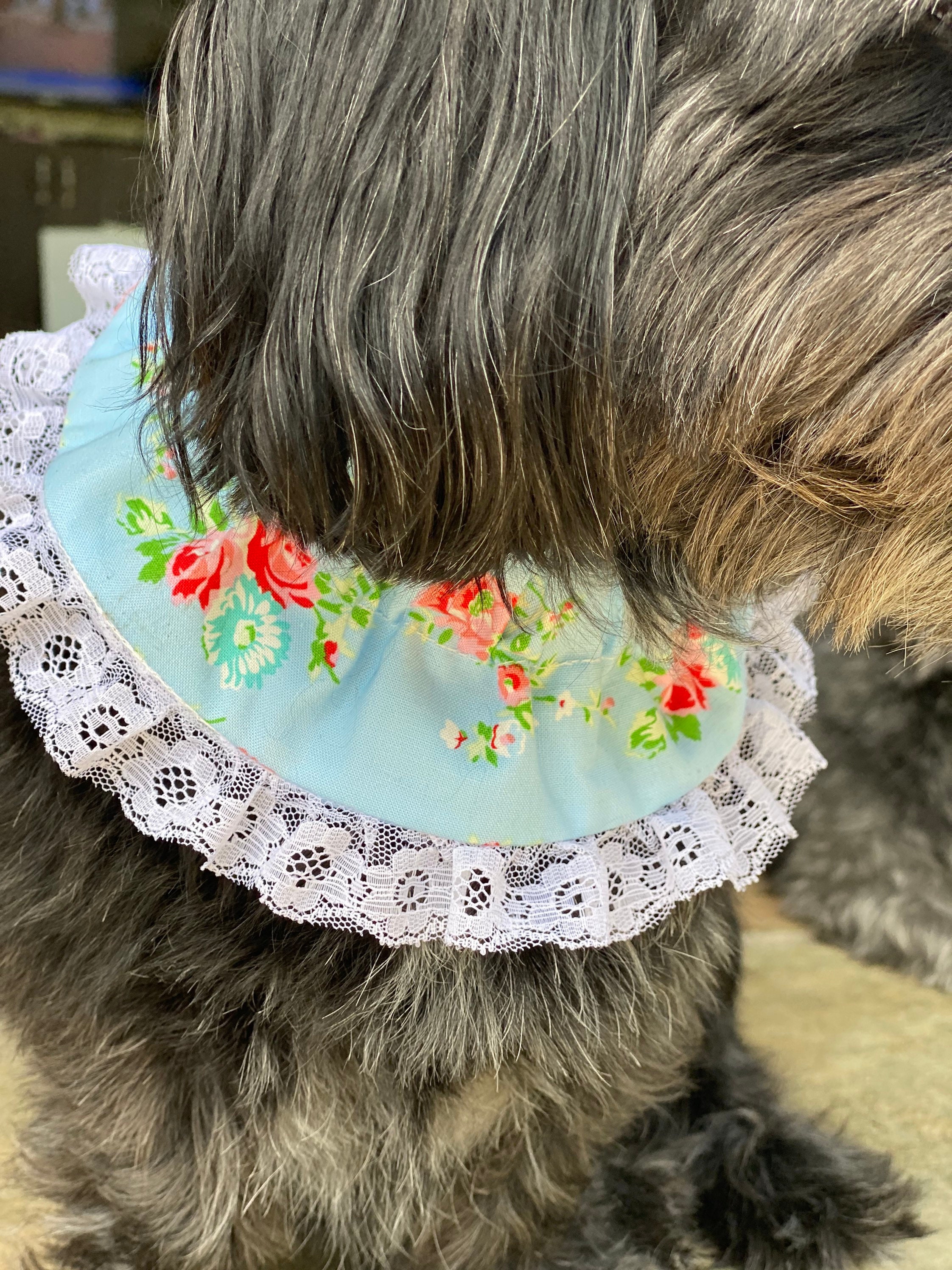 New Blue Harden Floral Dog Ruffle Collar Yellow and Pink Etsy