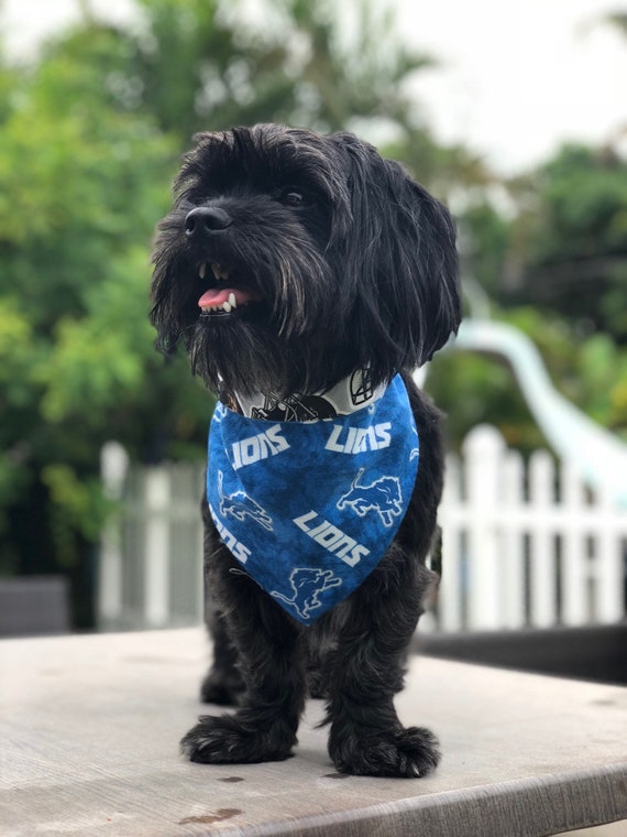 Revesible Detroit Lions Dog Bandana